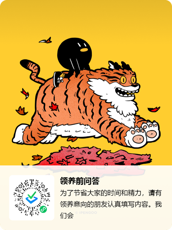 领养问答